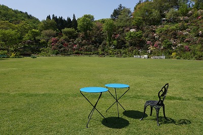 DSC00988.jpg