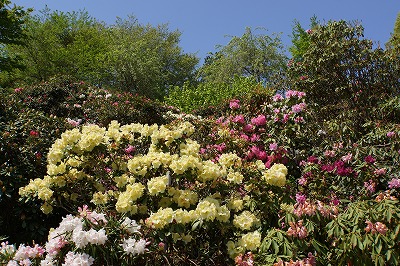 DSC00998_20120522044553.jpg