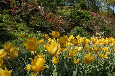 DSC01001.jpg