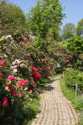 DSC01009_20120522044550.jpg
