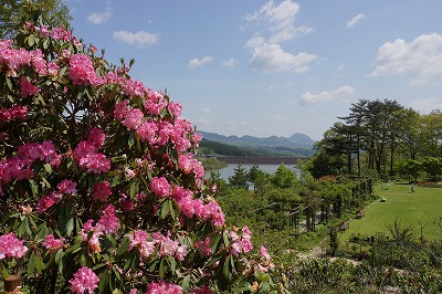 DSC01020.jpg