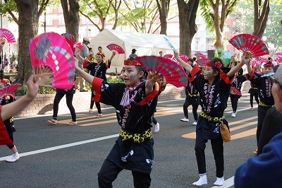 DSC01099.jpg