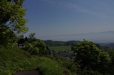 DSC01117.jpg
