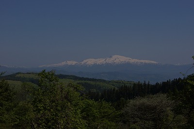 DSC01118.jpg
