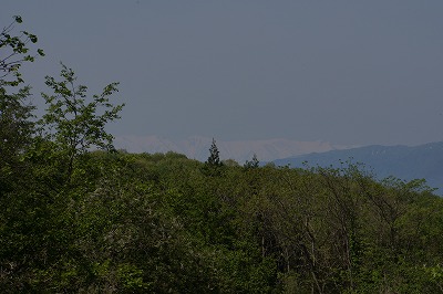 DSC01120.jpg