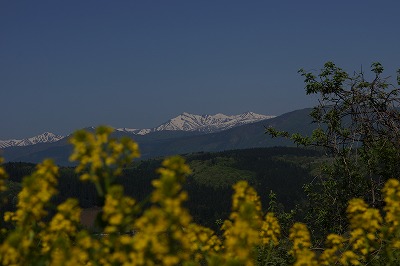DSC01121.jpg