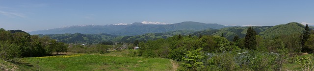 DSC01130.jpg