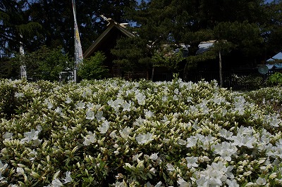 DSC01138.jpg