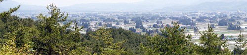 DSC01147al.jpg