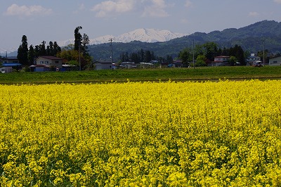 DSC01160_20120526085024.jpg