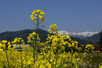 DSC01164.jpg