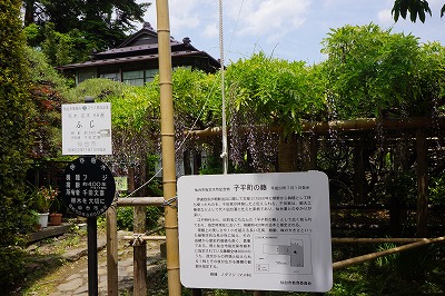 DSC01179.jpg