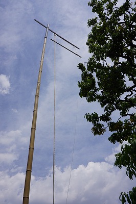 DSC01180.jpg