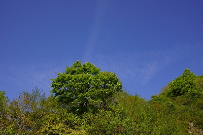 DSC01193.jpg