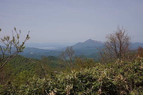 DSC01252.jpg