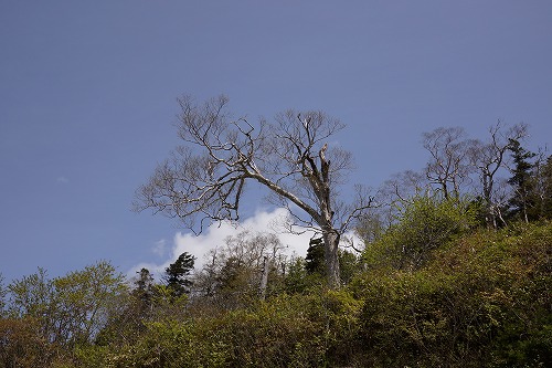 DSC01255.jpg