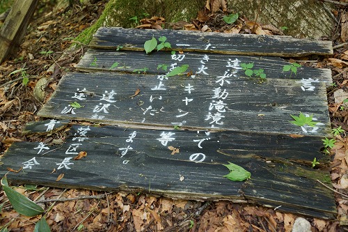 DSC01283_20120603082224.jpg