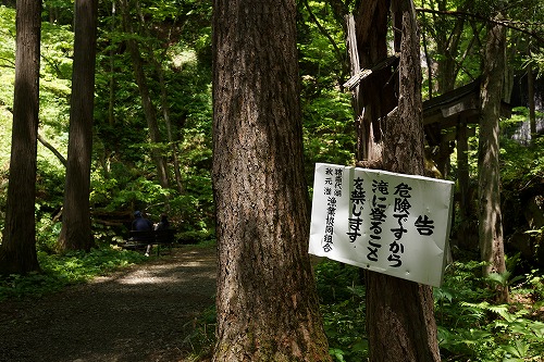 DSC01287.jpg