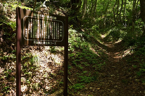 DSC01325_20120603082016.jpg