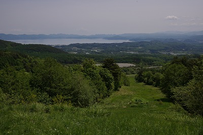 DSC01354.jpg