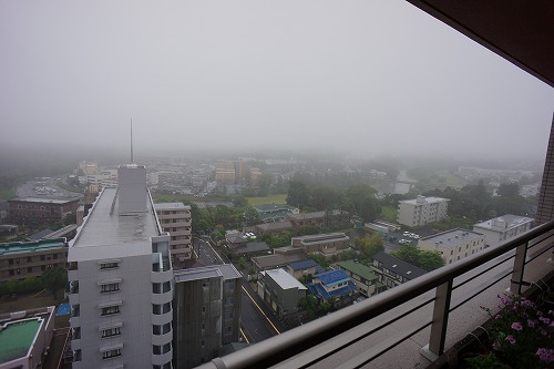 DSC01396.jpg