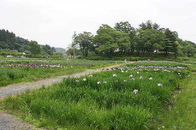 DSC01436.jpg