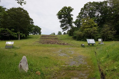 DSC01454.jpg