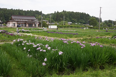 DSC01460.jpg