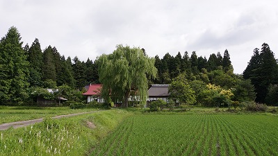 DSC01523_20120626054031.jpg