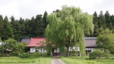DSC01524.jpg