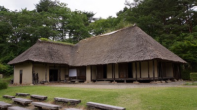 DSC01581.jpg