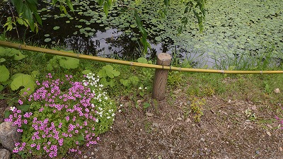 DSC01588.jpg