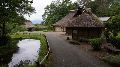 DSC01615.jpg