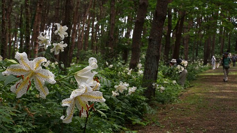 DSC01681.jpg