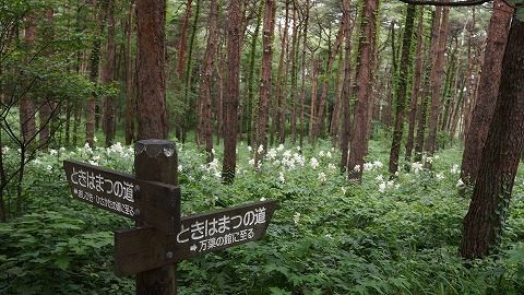 DSC01705.jpg