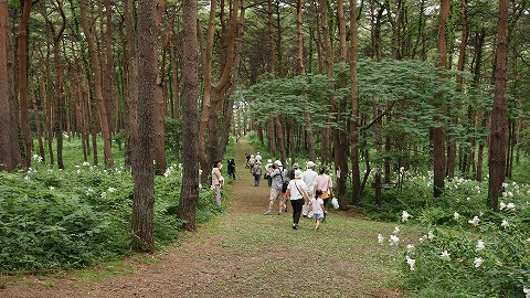 DSC01711.jpg