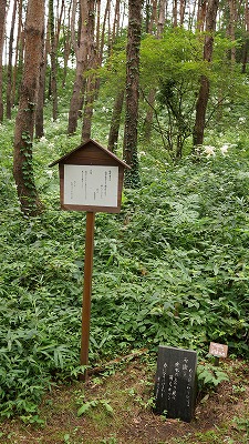 DSC01712.jpg