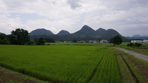 DSC01730.jpg