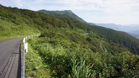 DSC01734.jpg