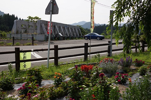 DSC01754.jpg