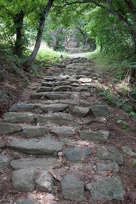 DSC01759.jpg