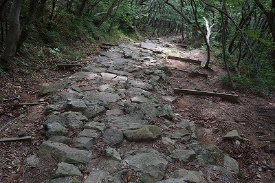 DSC01781.jpg