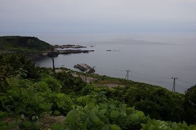 DSC01784.jpg