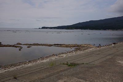 DSC01786.jpg