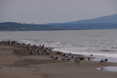 DSC01800.jpg