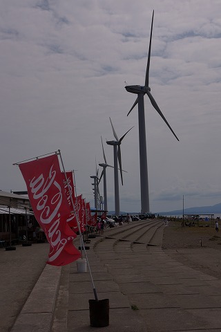 DSC01828.jpg