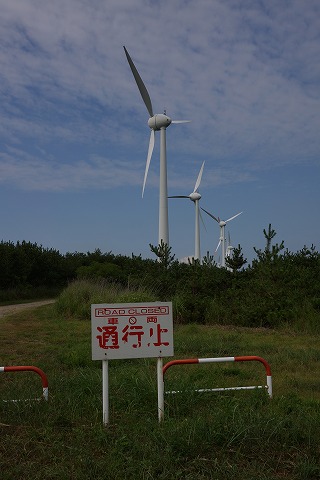 DSC01840.jpg