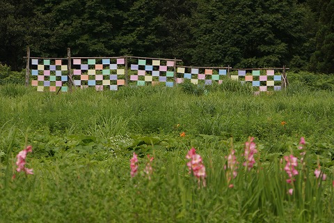 DSC01878.jpg