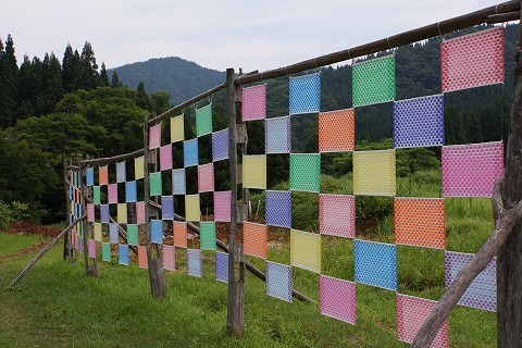 DSC01888.jpg