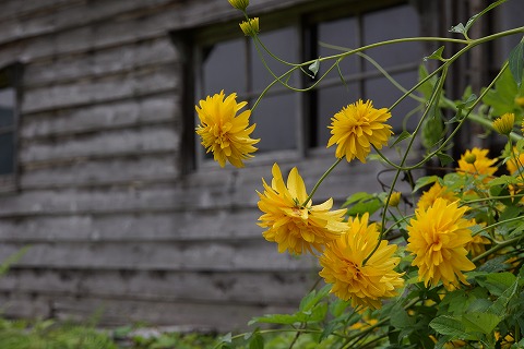 DSC01910.jpg